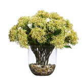 DOGWOOD SEED SPRAY WATER LIKE - Hedi's Furniture